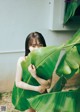 A woman holding a large green leaf in front of her face.